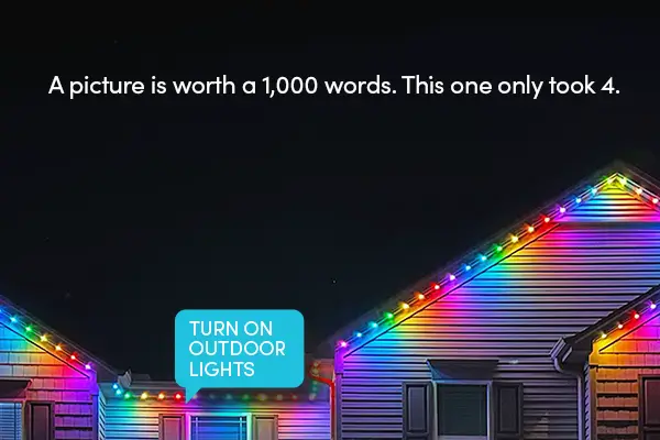 Houston permanent Christmas light